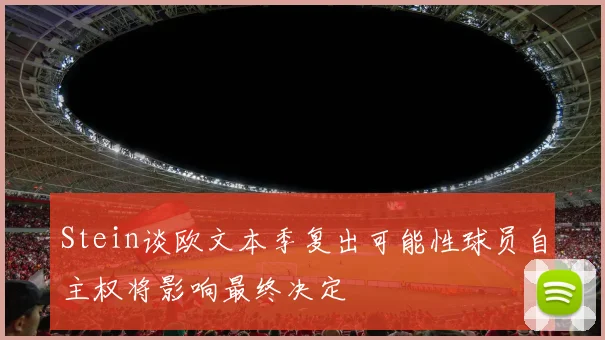 Stein谈欧文本季复出可能性球员自主权将影响最终决定