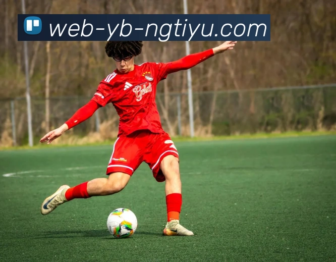 南宫体育平台生态图